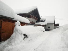 Apartmenthaus Kestel